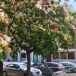 Apartmán Renovated With Garden And Parking Space *
