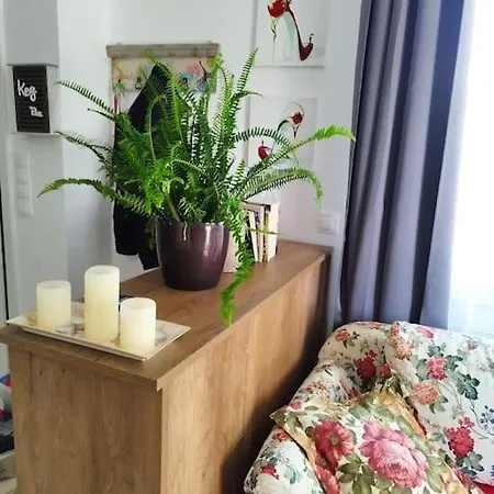 דירה Renovated With Garden And Parking Space *