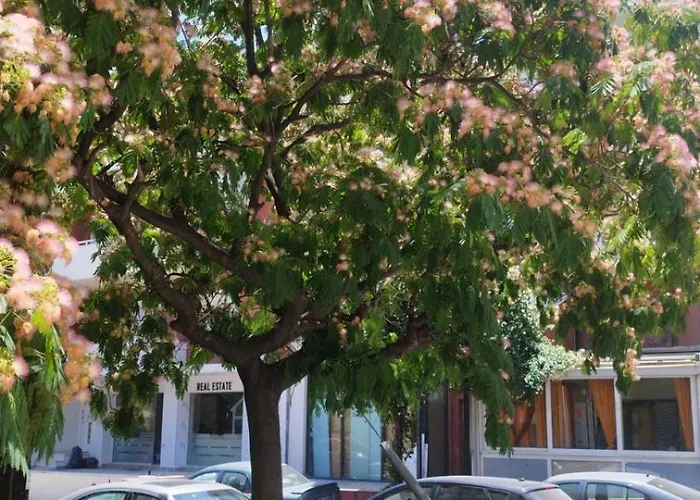 아파트 Renovated With Garden And Parking Space *