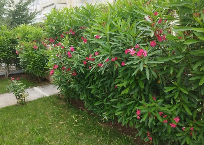 아파트 Renovated With Garden And Parking Space